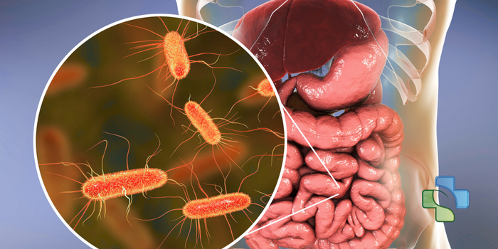 Film Array Gastrointestinal